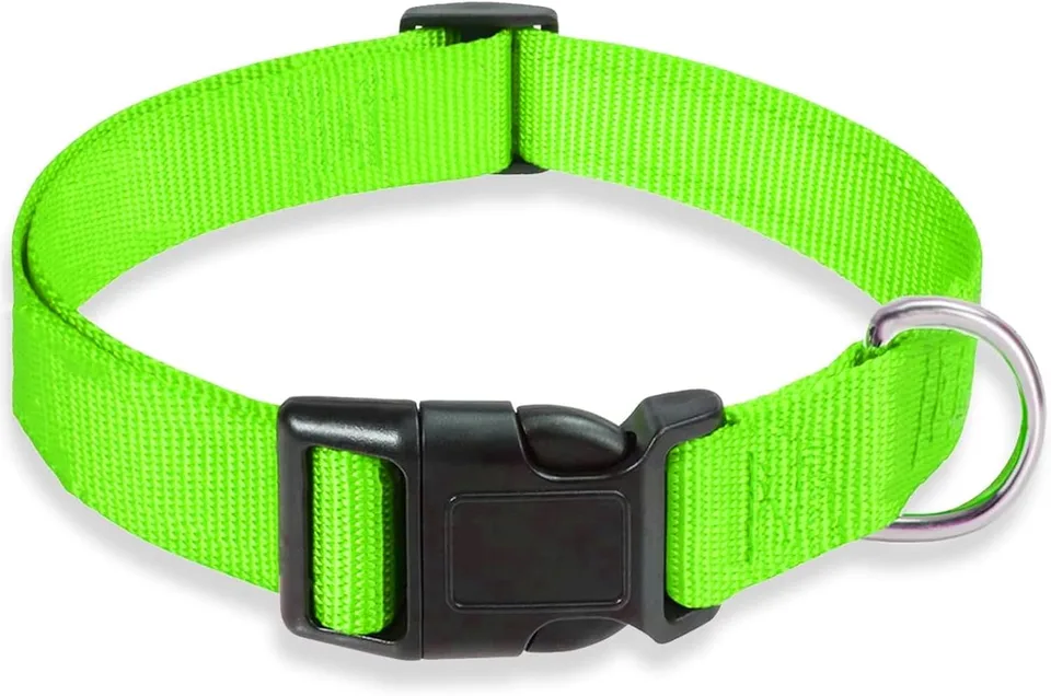 Neon Green Dog Collars