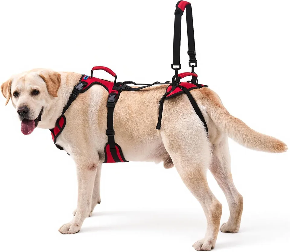 Dog Mobility Harness Size M